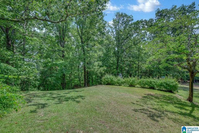 1011 CROSSHILL LANE, Warrior, AL 35180