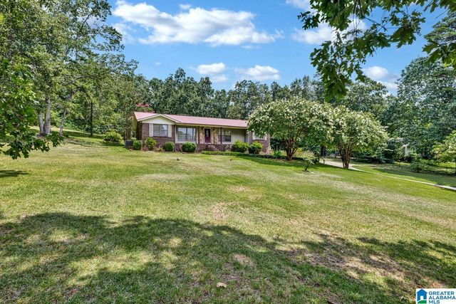1011 CROSSHILL LANE, Warrior, AL 35180