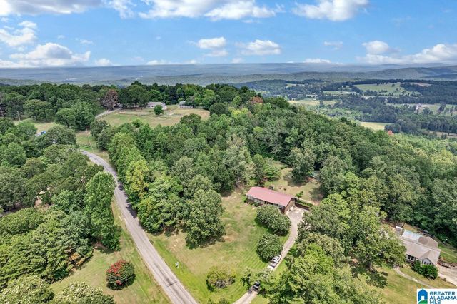 1011 CROSSHILL LANE, Warrior, AL 35180