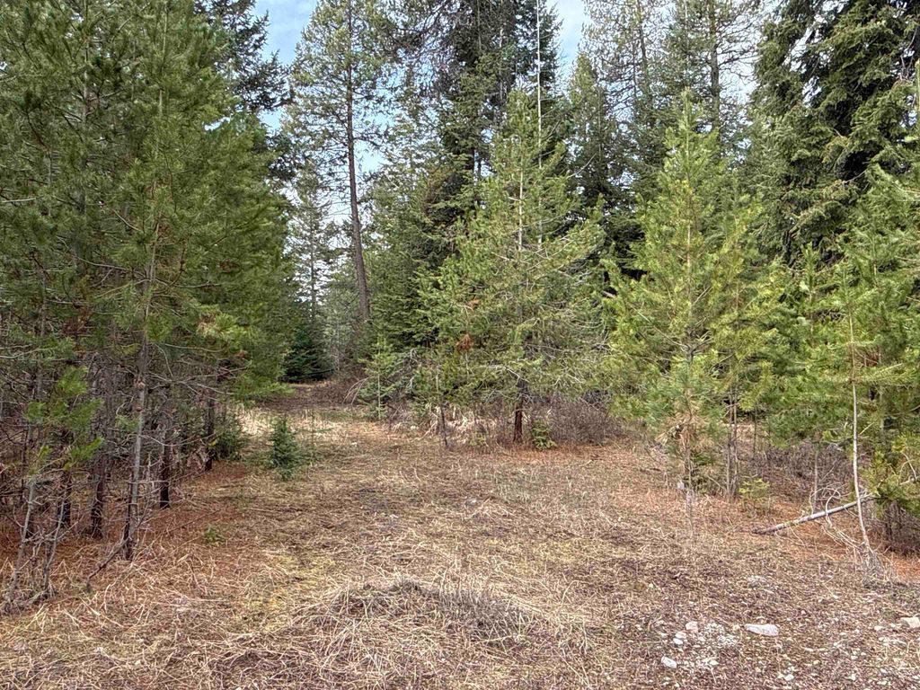 4828 Eagle Ridge Way, Springdale, WA 99173