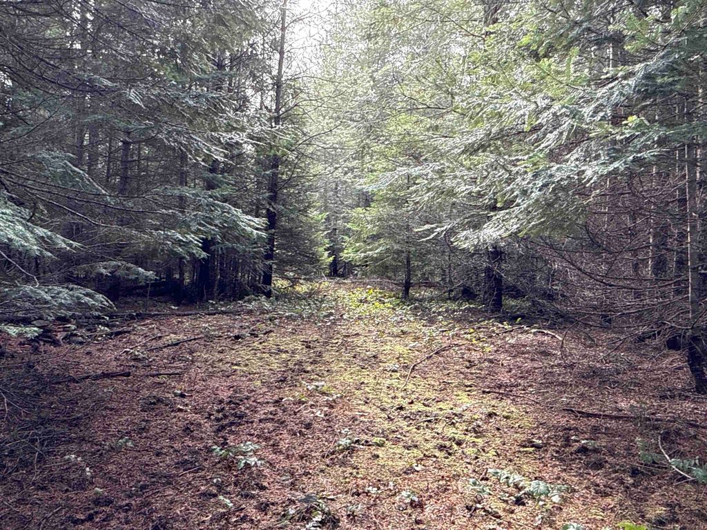 4828 Eagle Ridge Way, Springdale, WA 99173 photo 2