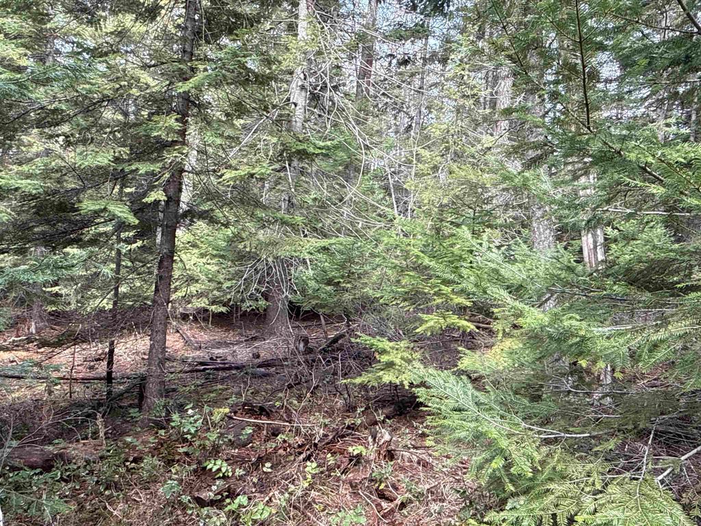 4828 Eagle Ridge Way, Springdale, WA 99173 photo 12