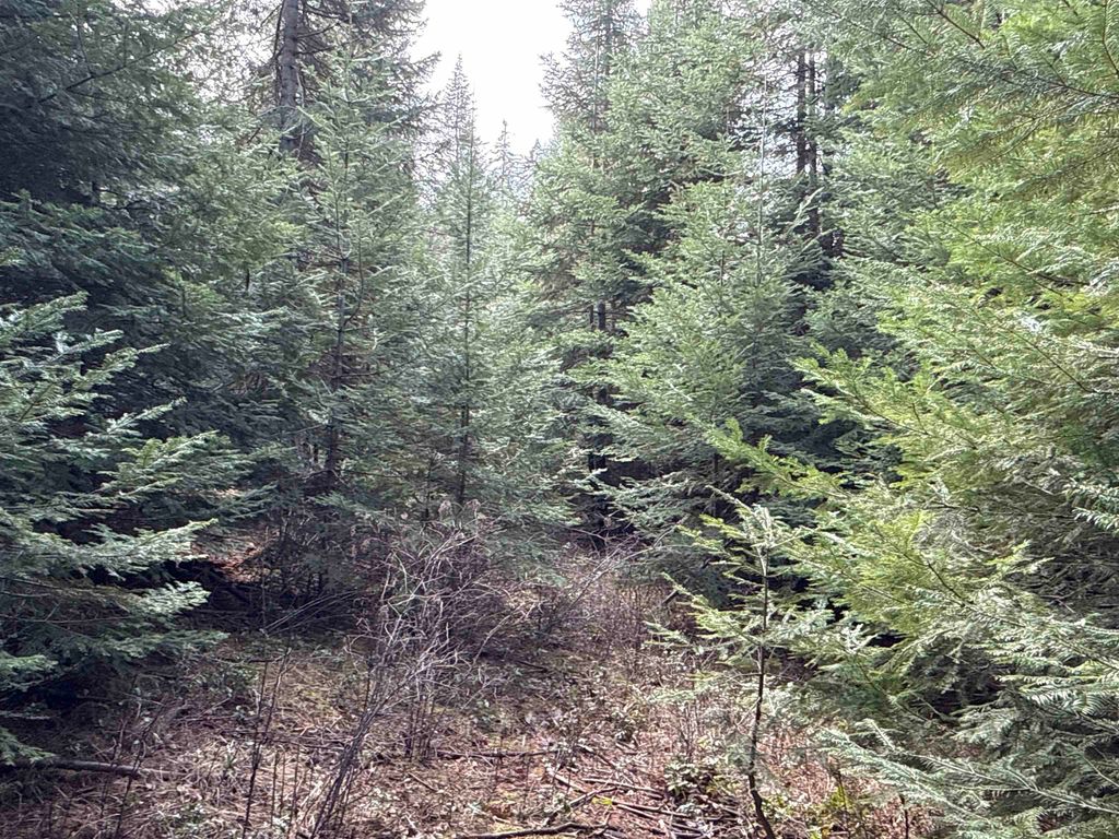 4828 Eagle Ridge Way, Springdale, WA 99173 photo 13