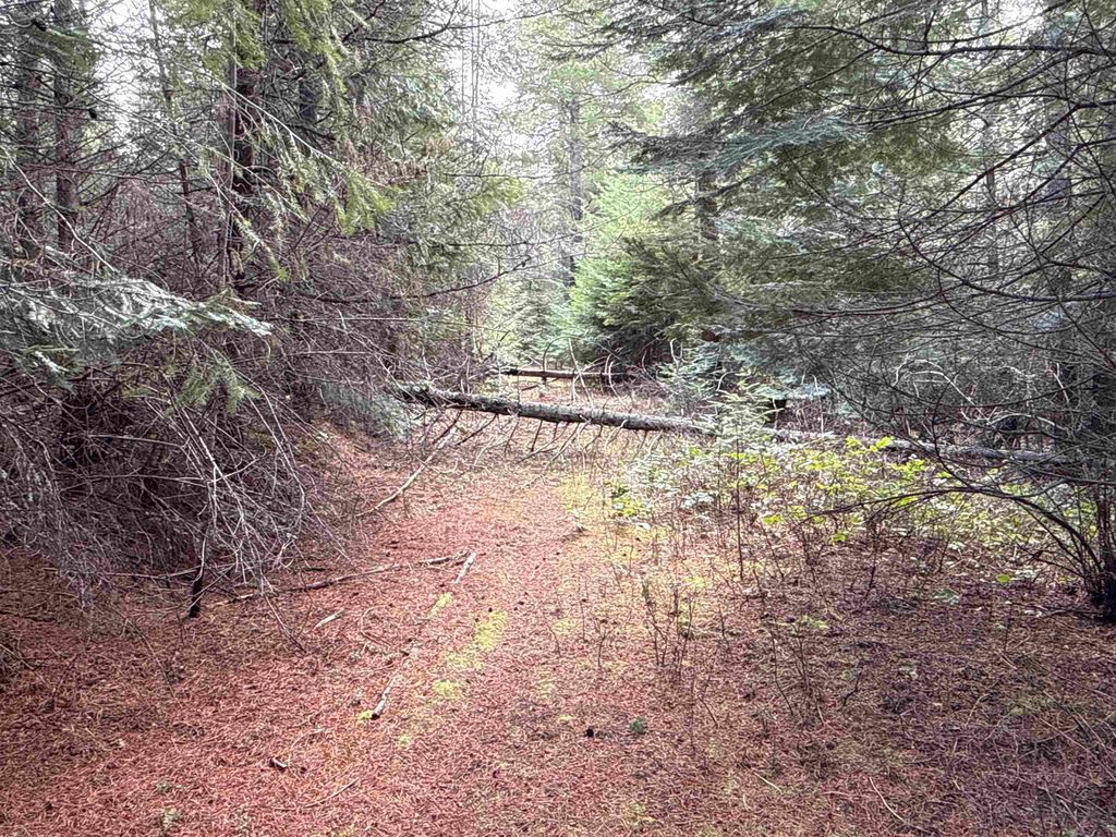 4828 Eagle Ridge Way, Springdale, WA 99173 photo 14