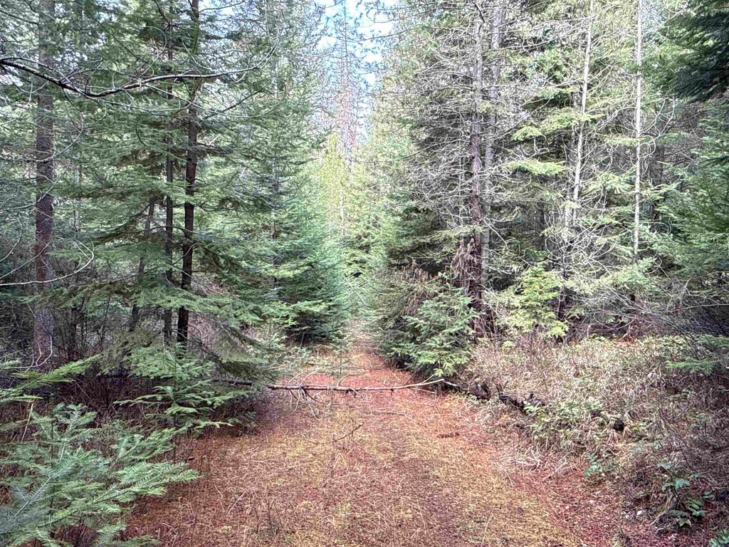 4828 Eagle Ridge Way, Springdale, WA 99173 photo 15