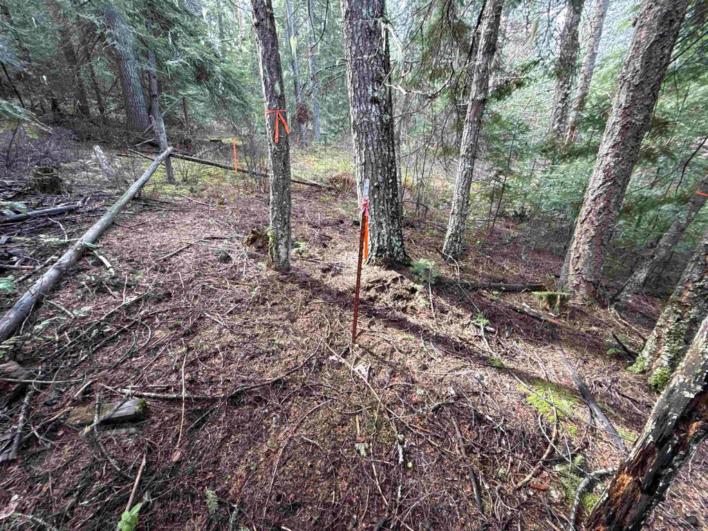 4828 Eagle Ridge Way, Springdale, WA 99173 photo 16