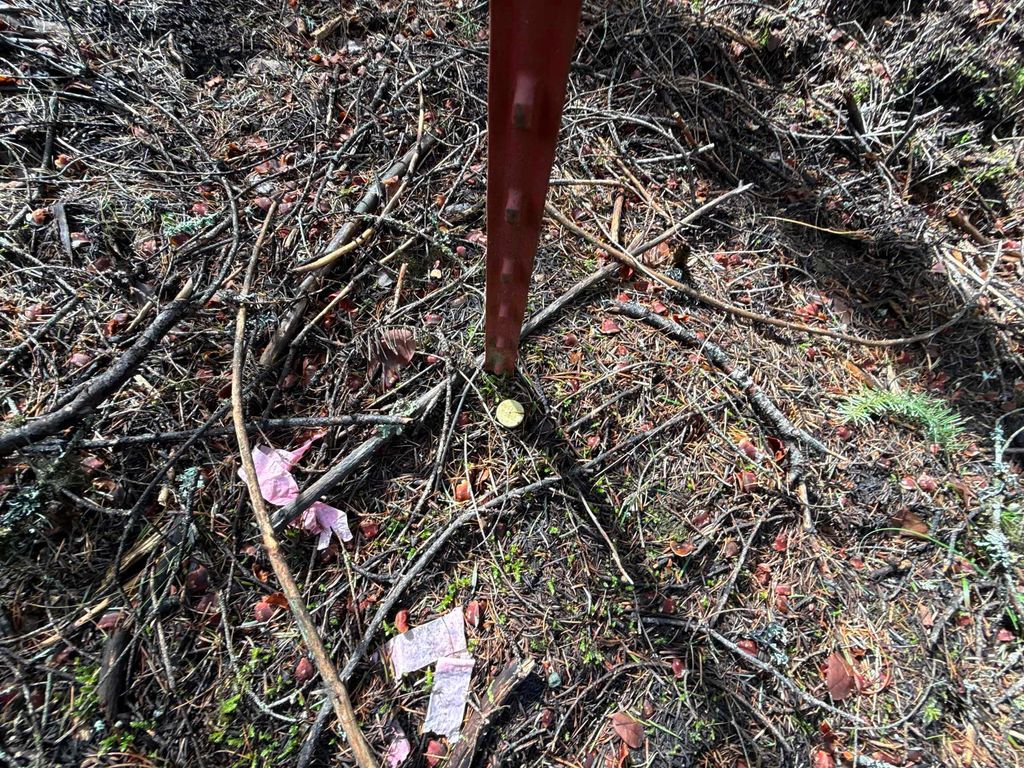 4828 Eagle Ridge Way, Springdale, WA 99173 photo 17