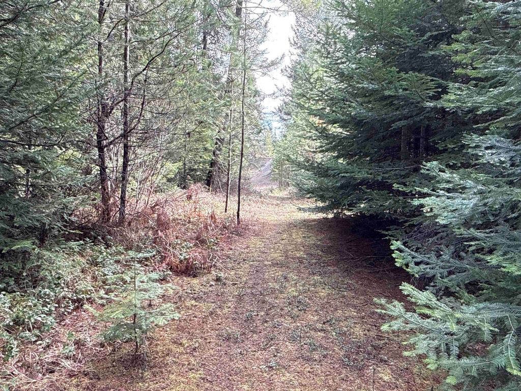 4828 Eagle Ridge Way, Springdale, WA 99173 photo 18