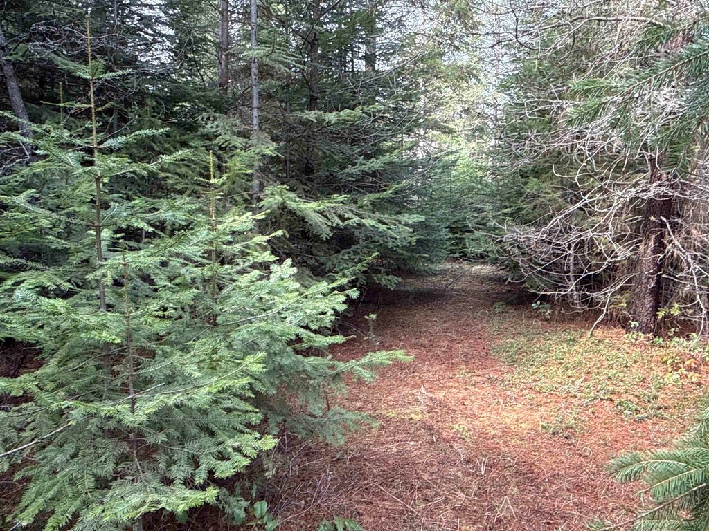 4828 Eagle Ridge Way, Springdale, WA 99173 photo 19