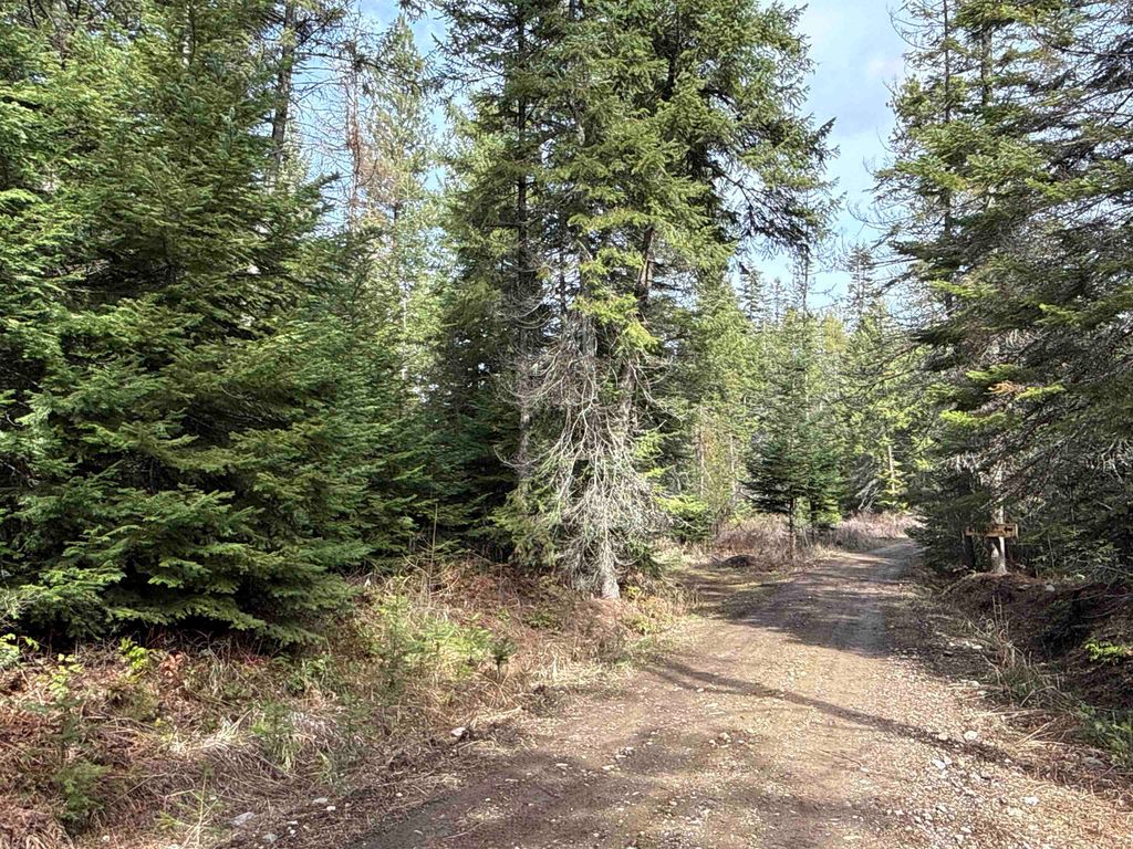 4828 Eagle Ridge Way, Springdale, WA 99173 photo 20