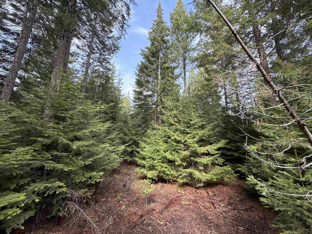 4828 Eagle Ridge Way, Springdale, WA 99173 photo 3