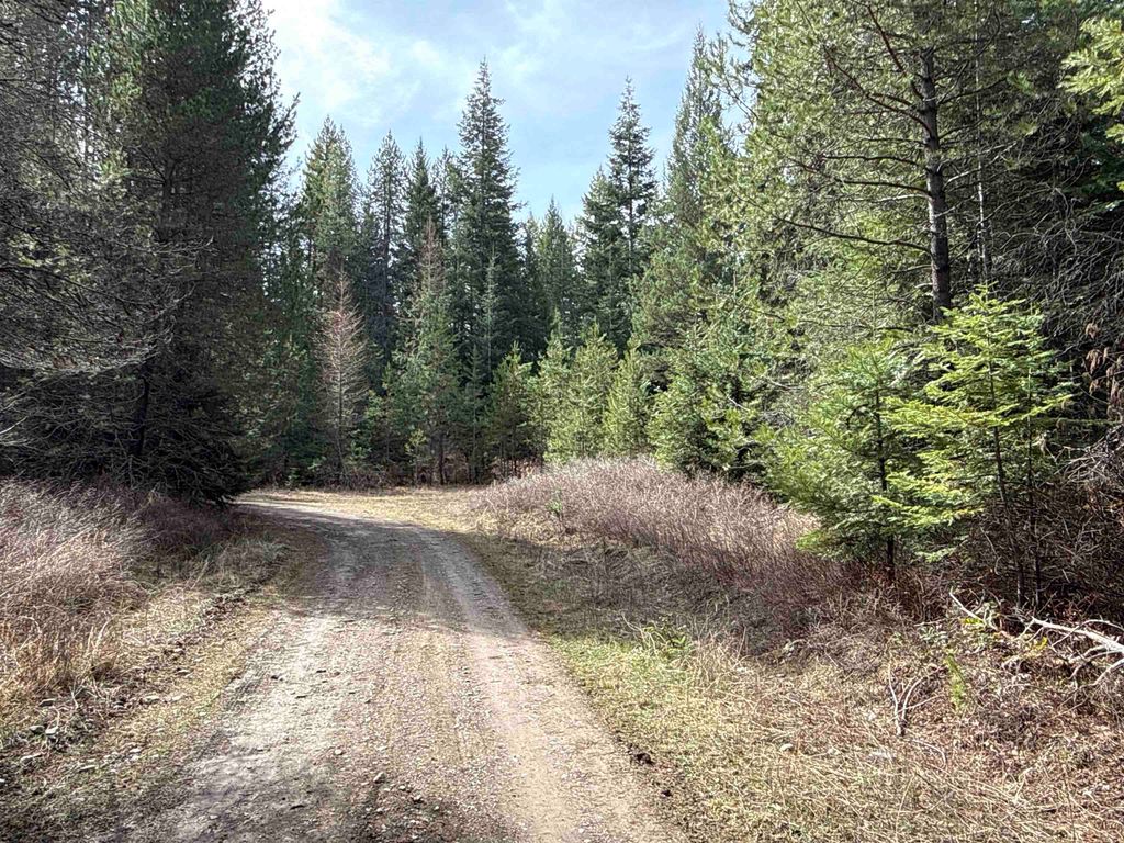 4828 Eagle Ridge Way, Springdale, WA 99173 photo 21