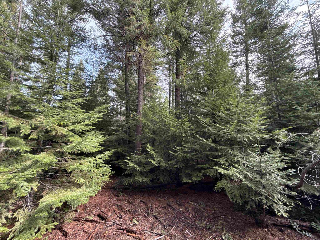 4828 Eagle Ridge Way, Springdale, WA 99173 photo 4