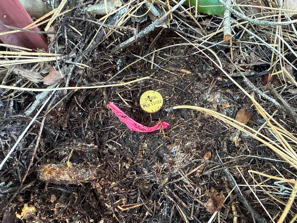 4828 Eagle Ridge Way, Springdale, WA 99173 photo 6