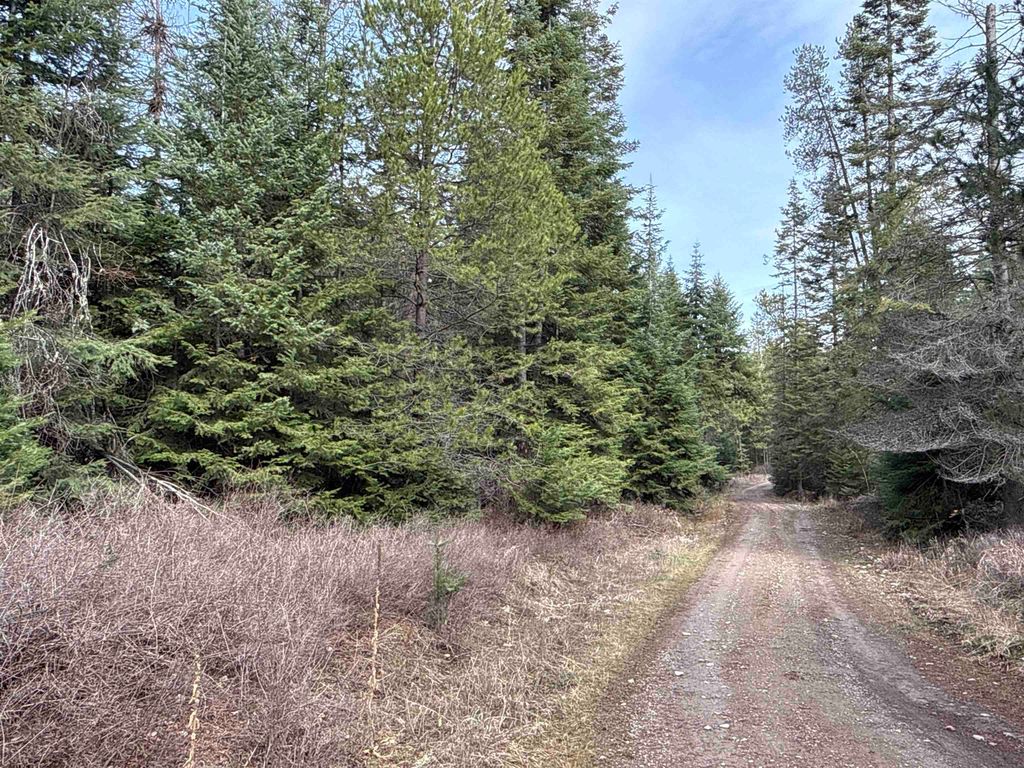 4828 Eagle Ridge Way, Springdale, WA 99173 photo 7