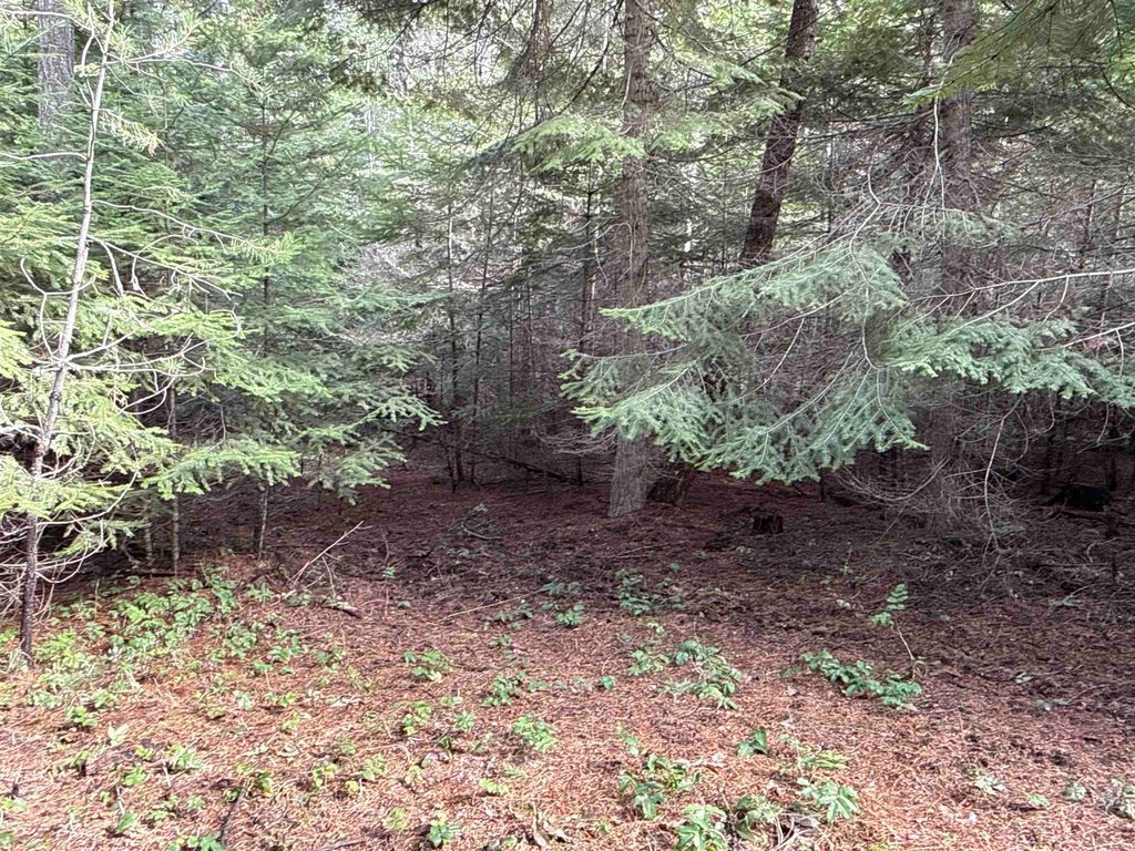 4828 Eagle Ridge Way, Springdale, WA 99173 photo 10