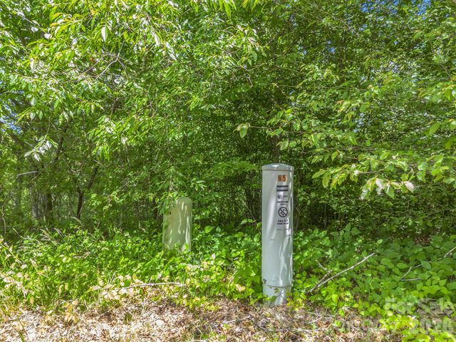 65 Bradford Vistas Vista, Fletcher, NC 28732
