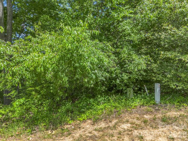 65 Bradford Vistas Vista, Fletcher, NC 28732