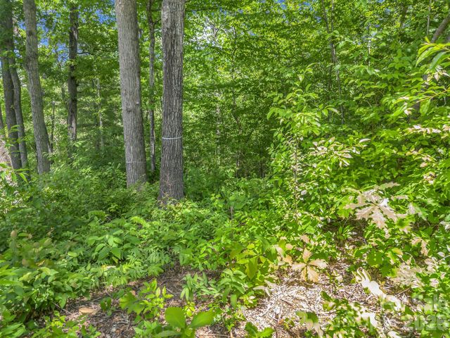 65 Bradford Vistas Vista, Fletcher, NC 28732