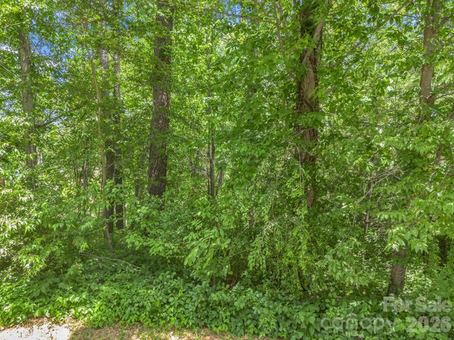 65 Bradford Vistas Vista, Fletcher, NC 28732