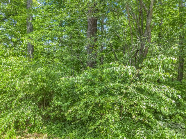 65 Bradford Vistas Vista, Fletcher, NC 28732
