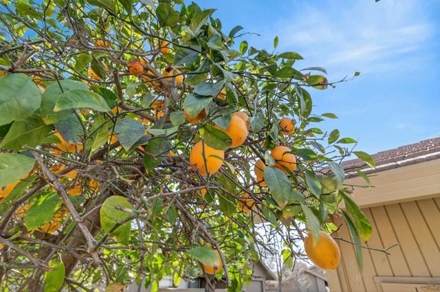 2129 Promontory Point Ln, Rancho Cordova, CA 95670