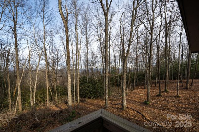 39 Finch Lane, Zirconia, NC 28790