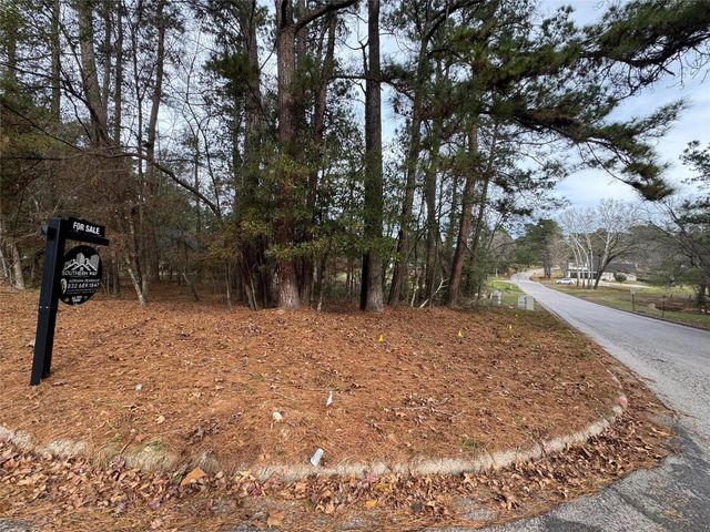 728 Overbrook Drive, Huntsville, TX 77340