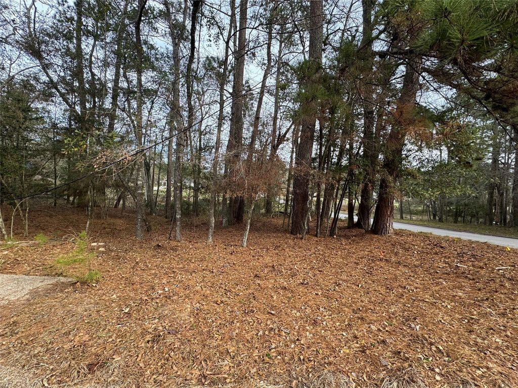 728 Overbrook Drive, Huntsville, TX 77340