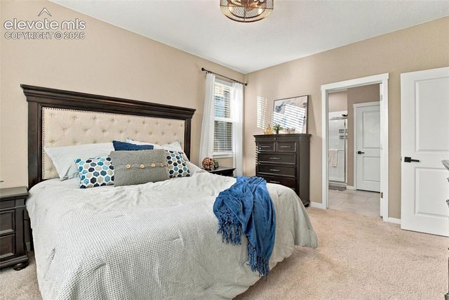 16474 Alpine Sorrel Drive, Monument, CO 80132