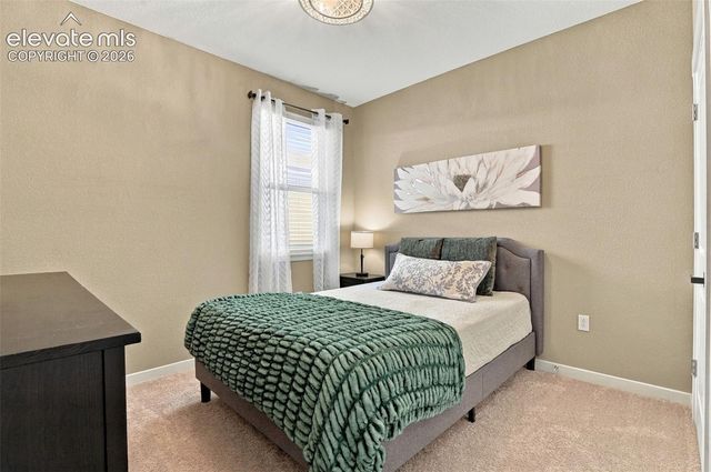 16474 Alpine Sorrel Drive, Monument, CO 80132