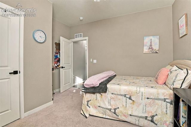 16474 Alpine Sorrel Drive, Monument, CO 80132