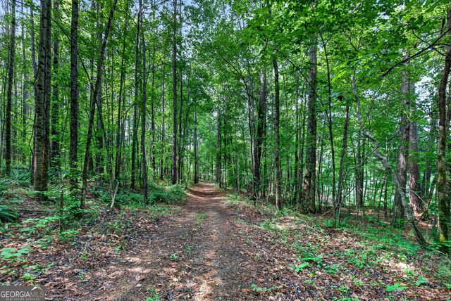 86 Pollen Trail, Grantville, GA 30220