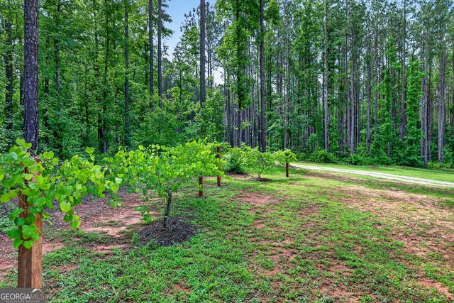 86 Pollen Trail, Grantville, GA 30220