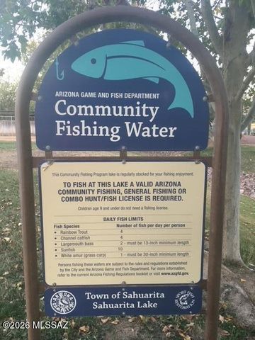 431 W Calle Del Estribo, Sahuarita, AZ 85629