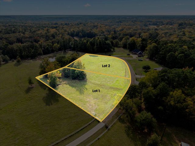 Lot 1 County Road 1690, Mt Pleasant, TX 75455