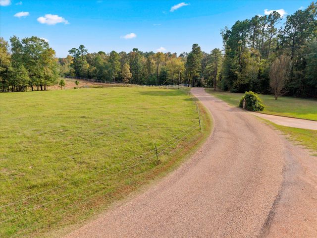 Lot 1 County Road 1690, Mt Pleasant, TX 75455