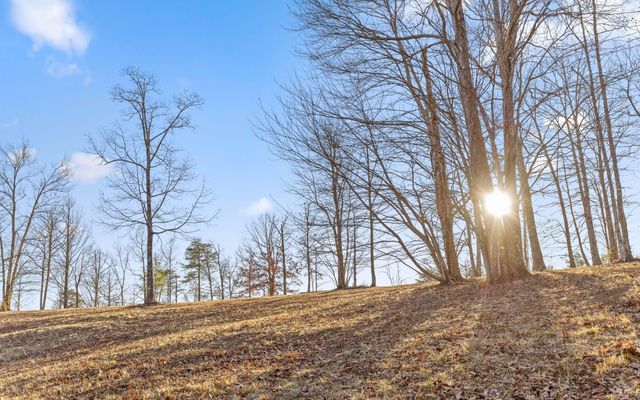 1 Lake George Drive, Dunlap, TN 37327