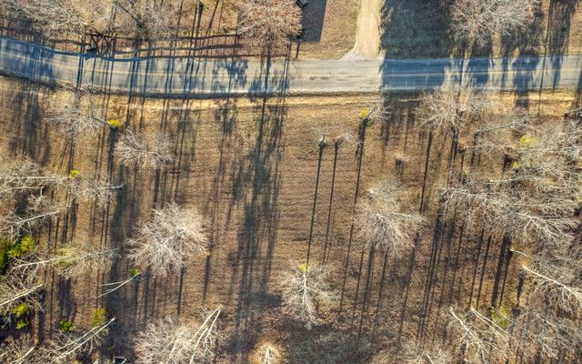 1 Lake George Drive, Dunlap, TN 37327