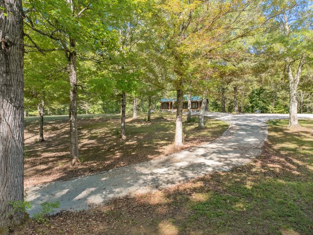 448 Pauline Rd, Holladay, TN 38341