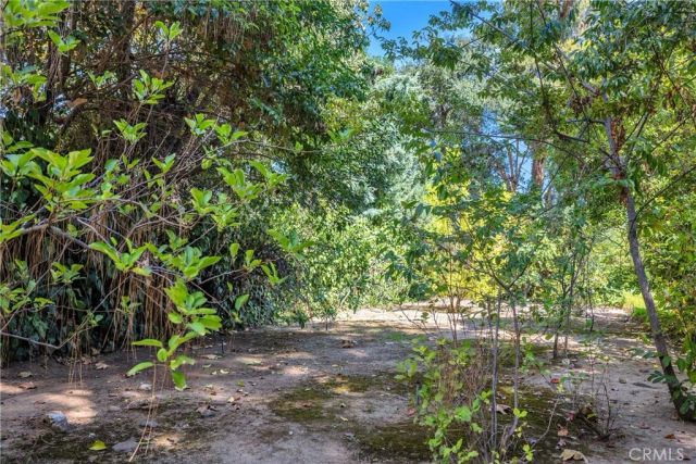 4317 Petit Avenue, Encino, CA 91436
