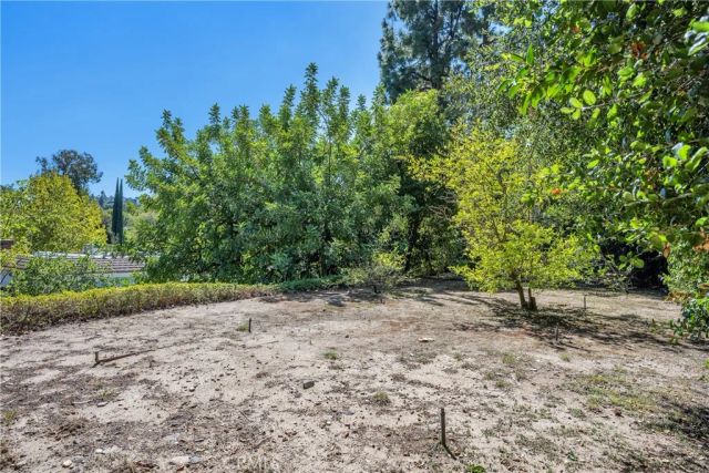 4317 Petit Avenue, Encino, CA 91436