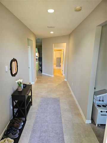1201 CUSTER BAYOU STREET, Ruskin, FL 33570