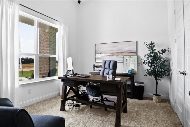 1000 Brock Heights Court, Brock, TX 76087