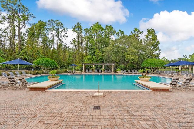 14169 AVENUE OF THE GROVES, Winter Garden, FL 34787