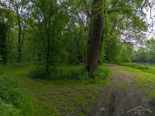 319 E Dopp Road, Midland, MI 48640