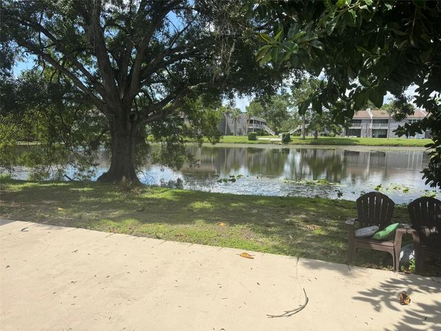 4009 MURIEL PLACE, Tampa, FL 33614