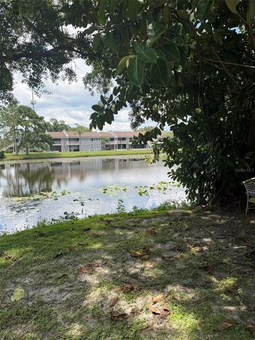 4009 MURIEL PLACE, Tampa, FL 33614