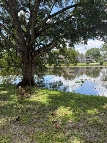 4009 MURIEL PLACE, Tampa, FL 33614