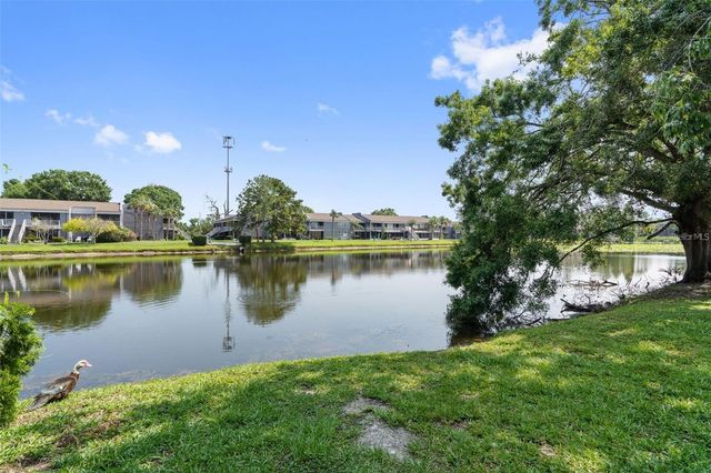 4009 MURIEL PLACE, Tampa, FL 33614